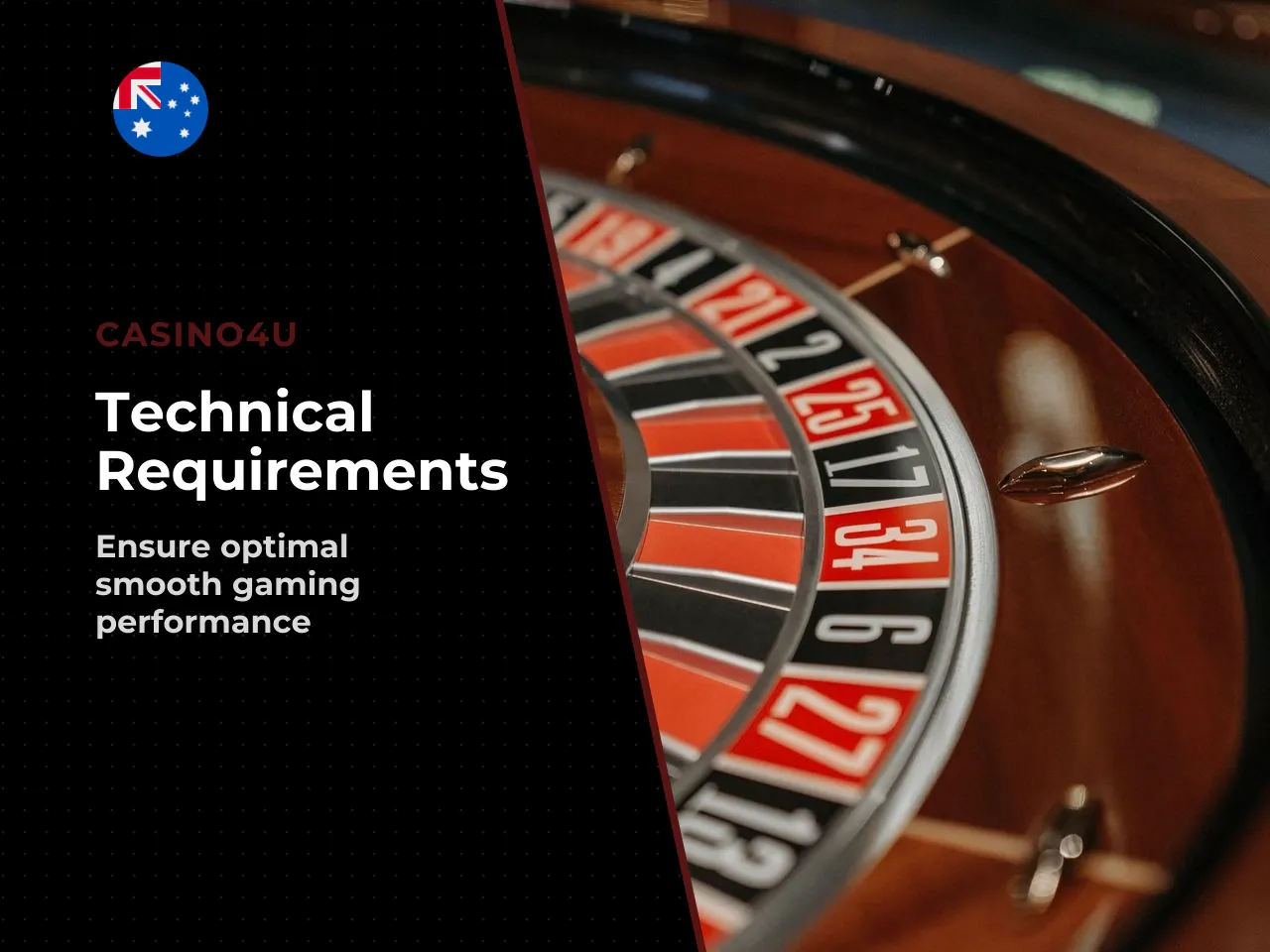 Hardware and Internet Requirements